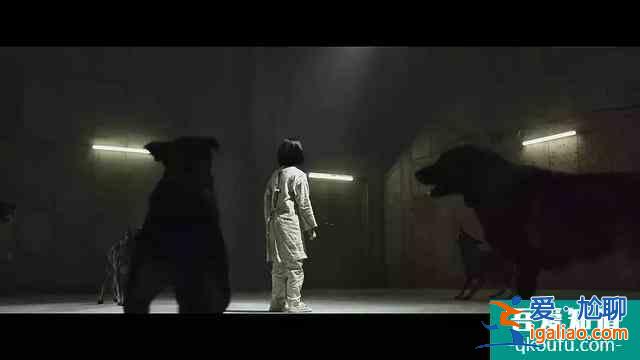 片長(zhǎng)125分鐘，拳拳到肉！韓國(guó)《新世界》導(dǎo)演的新片，質(zhì)量又很高？