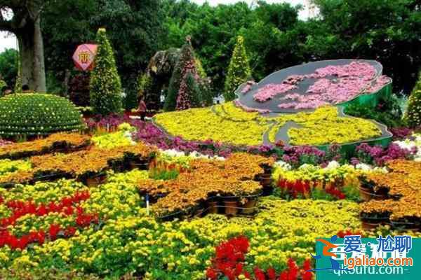 2021中山小欖菊花展最新疫情防控措施？