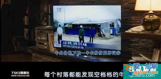 韓國票房冠軍《魔女》—擁有超能力的小蘿莉扮豬吃虎，一路開掛？