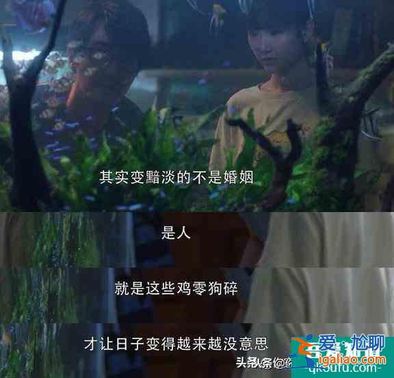 《三十而已》的經(jīng)典臺詞，每一句都很現(xiàn)實，你被哪句扎了心？？