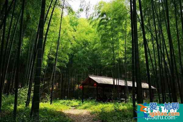宜興竹海風(fēng)景區(qū)親子游一日游路線推薦？