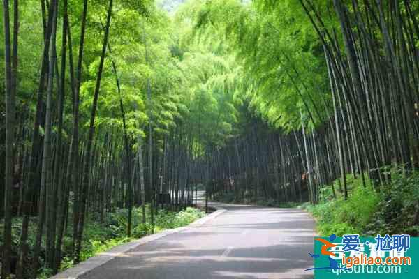 宜興竹海風(fēng)景區(qū)親子游一日游路線推薦？
