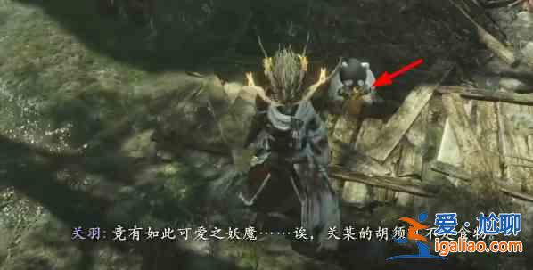 臥龍?zhí)旖敌茇埖奈恢迷谀睦铮拷o咬鐵熊貓喂食的過程？