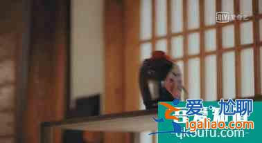 「二十不惑」竟然是全員學(xué)霸？看清學(xué)校后：失敬了？
