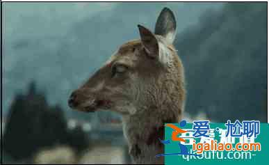 憑什么說《釜山行2》是不值一提的爛片？？