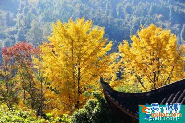 張家界黃龍洞景區(qū)彩葉最佳觀賞期？