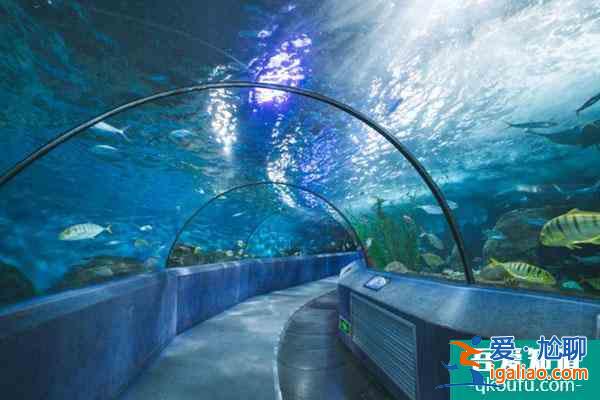 2021重慶漢海海洋公園開放了嗎？