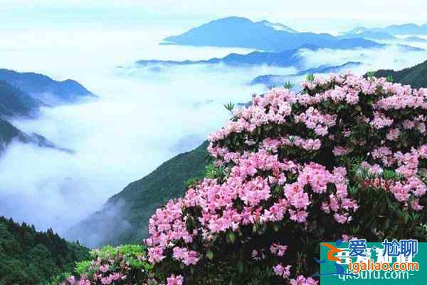 2022天臺山華頂景區(qū)因受天氣影響暫停對外開放通知？