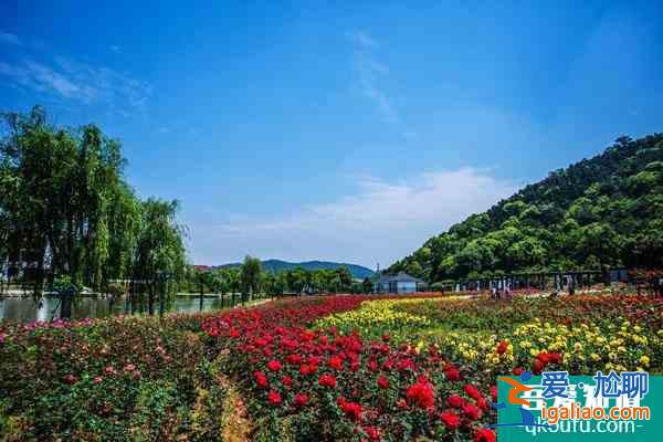 無錫龍寺生態(tài)園好玩嗎？