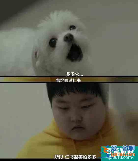 都來看看！韓國人又拍了一個咱們寫不出來的??？