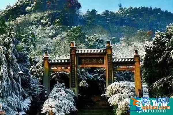 重慶去哪可以泡溫泉？