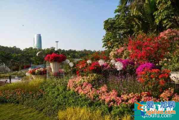2021深圳蓮花山簕杜鵑花展時間？
