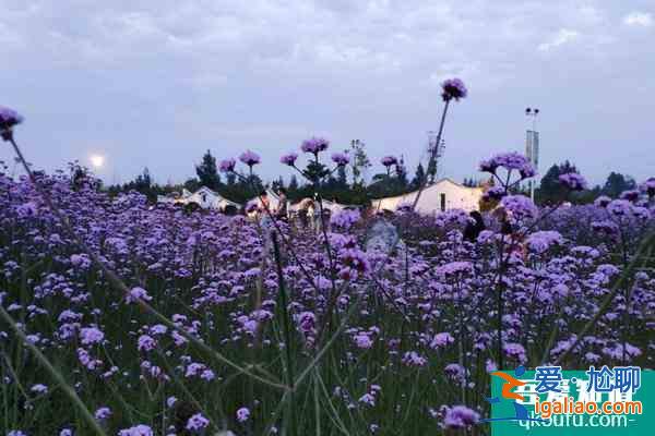 閩江河口濕地公園開放時間及門票？
