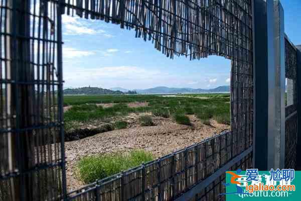 閩江河口濕地公園開放時間及門票？