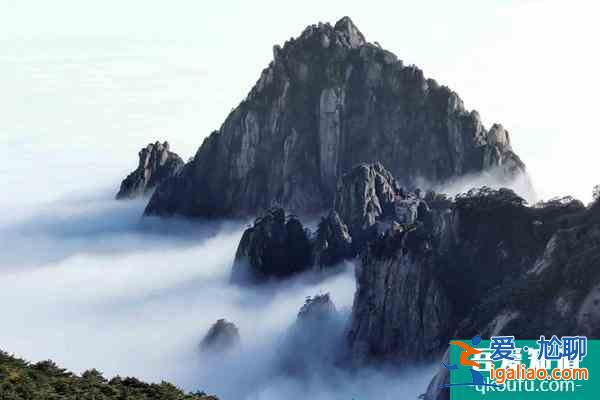 2021年底前將取消12301旅游投訴電話 并入12345？