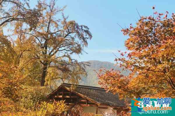 2021長興八都岕景區(qū)在哪里？