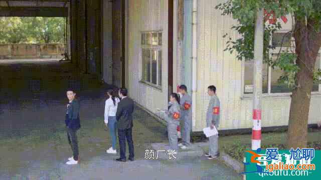 《三十而已》不是劇情而已？