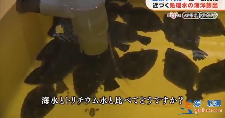 核污水儲(chǔ)水箱即將飽和 機(jī)組建筑鋼筋裸露？