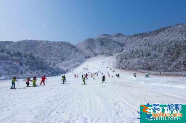 2021阿勒泰將軍山滑雪場免費滑雪活動時間？