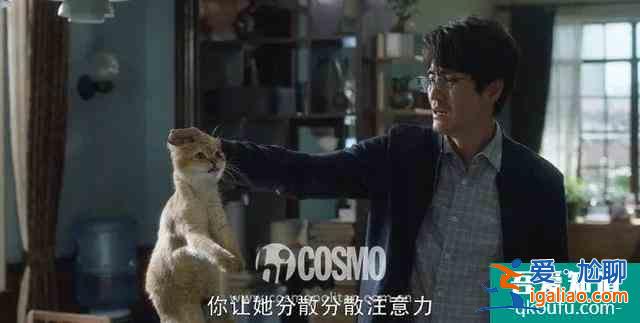 《三十而已》的男性角色，真沒有令人失望？