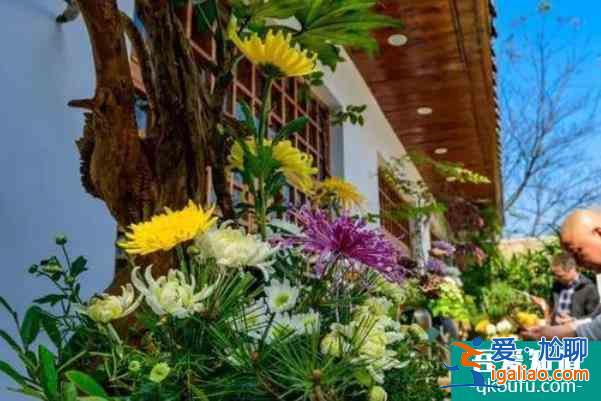 2021長沙岳麓山菊花展時間？