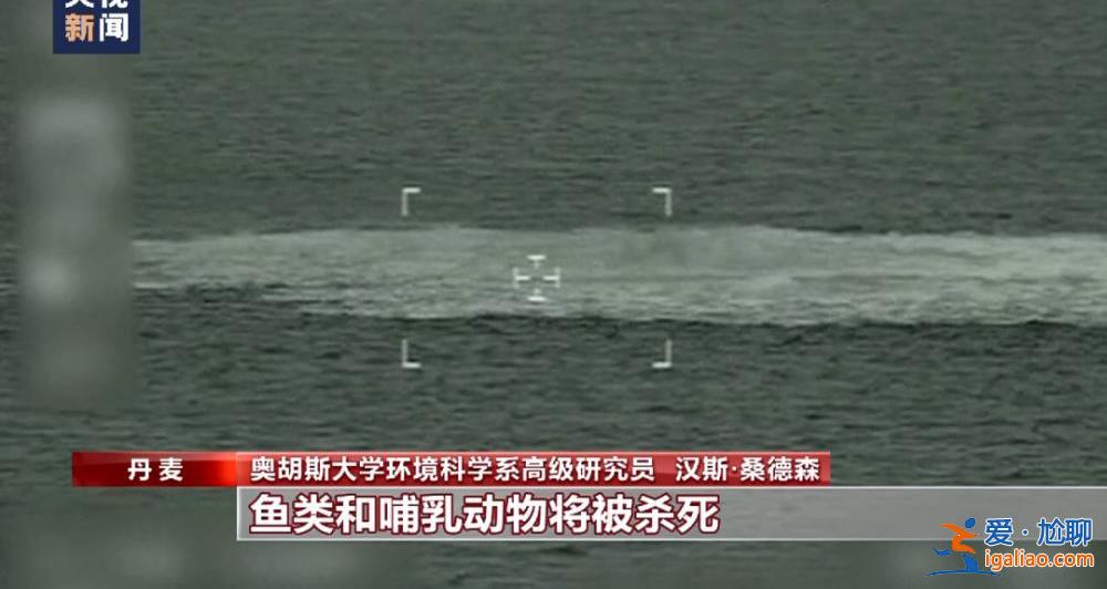 “北溪”爆炸事件兇手找到了？德國查到一艘涉嫌參與爆炸案的船只？