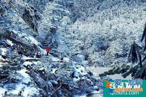 2022螺髻山景區(qū)恢復開園時間及最新防疫措施介紹？
