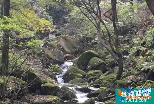 2021冬季洛陽(yáng)白云山森林防火期封閉部分旅游步道？