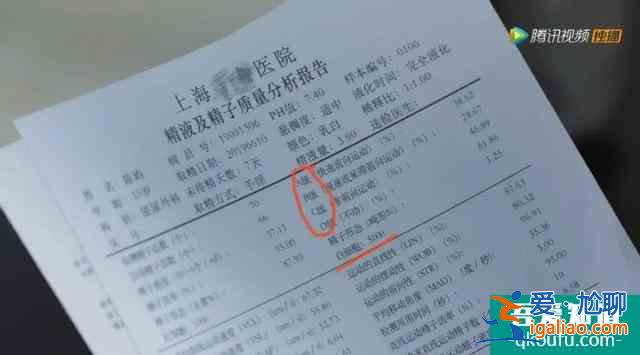 《三十而已》：鐘曉芹和陳養(yǎng)魚可能去了一個假醫(yī)院？