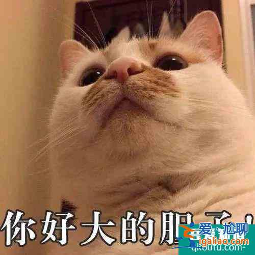 《三十而已》：鐘曉芹和陳養(yǎng)魚可能去了一個假醫(yī)院？