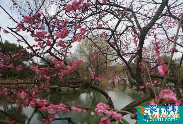 2022杭州超山梅花節(jié)時間及門票價格？