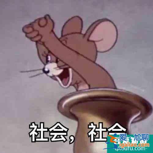 《三十而已》：鐘曉芹和陳養(yǎng)魚可能去了一個假醫(yī)院？