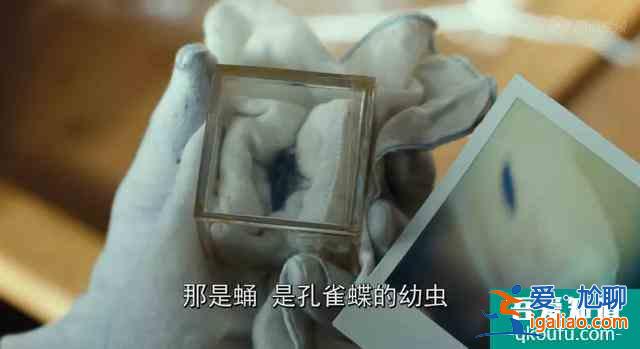 她被稱為韓國忠武路導(dǎo)演最想合作的女演員，成名懸疑之作《火車》？