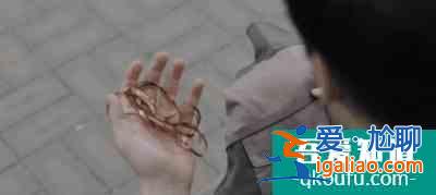 幽靈列車(chē)，超時(shí)空追兇，韓劇又放大招了？
