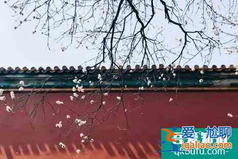 清明節(jié)故宮開(kāi)放嗎 清明節(jié)故宮賞花攻略？