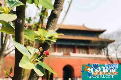 清明節(jié)故宮開(kāi)放嗎 清明節(jié)故宮賞花攻略？