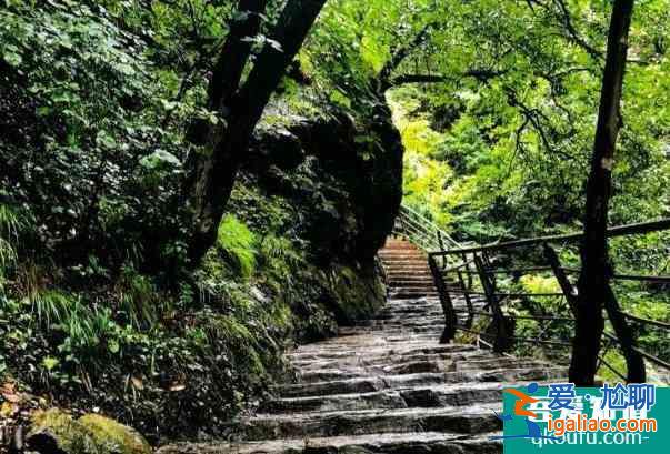 2022翠華山優(yōu)惠年卡在哪里購買及價格多少錢？