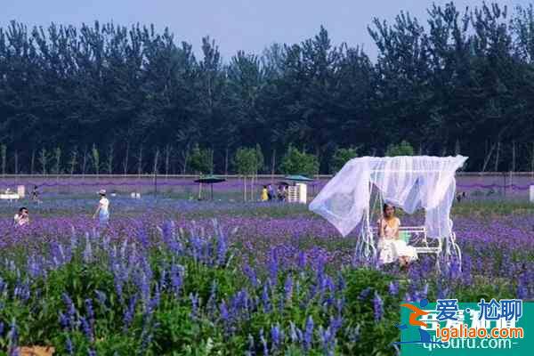 北京情人節(jié)去哪里玩比較好2022 北京情人節(jié)哪里最浪漫？
