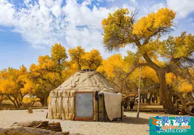 額濟(jì)納旗胡楊林旅游最佳時(shí)間2022？