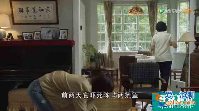 《三十而已》強(qiáng)勢(shì)霸屏！只有“愛(ài)馬仕”才能混“太太圈”？房子才是？