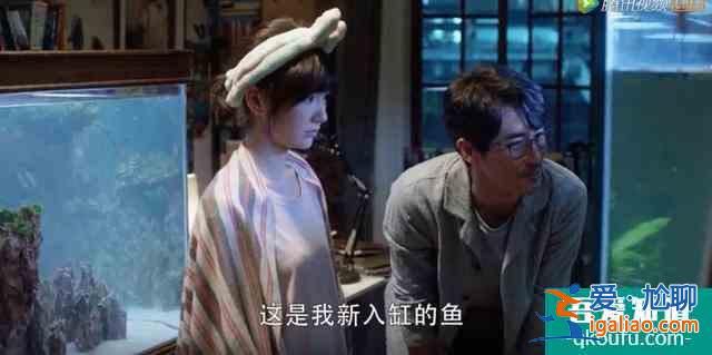 佟麗婭拒演的《三十而已》爆了，網(wǎng)友：多謝她的不演之恩？