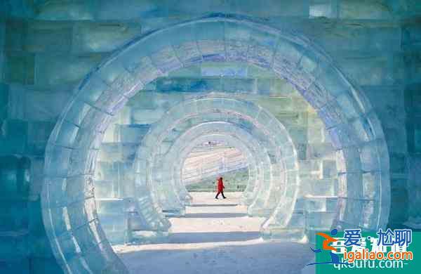 2022哈爾濱冰雪大世界游玩攻略 附項目推薦？