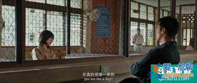 網(wǎng)劇《唐人街探案》成功破圈，林默集偵探、吃貨和撩妹神器于一身？