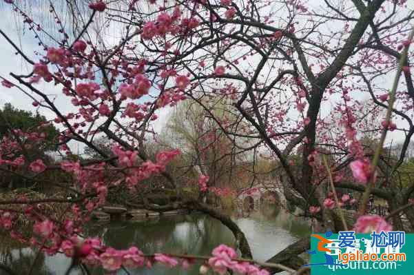 2022杭州超山風(fēng)景區(qū)門票優(yōu)惠？