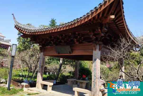 2022杭州超山風(fēng)景區(qū)門票優(yōu)惠？