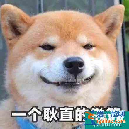 親愛(ài)的義祁君，你的頭好像有點(diǎn)綠綠的？？