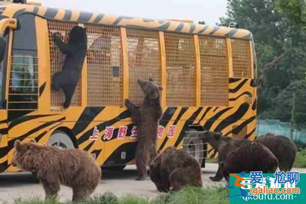 上海野生動物園一日游攻略？