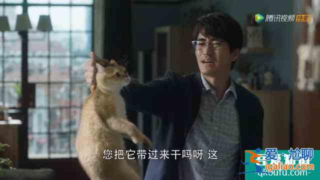 《三十而已》鐘曉芹的一段婚禮誓詞，道出女人向往婚姻的模樣？