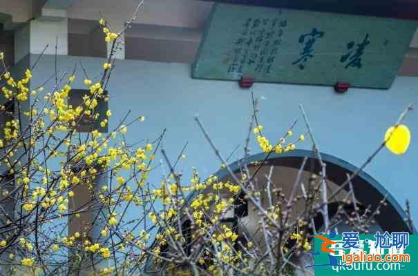 2022無(wú)錫梅園賞梅最佳時(shí)間 梅花開(kāi)放時(shí)間？