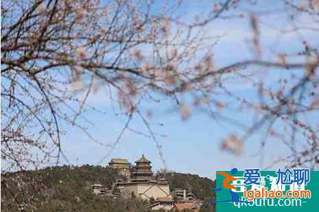 頤和園桃花什么時(shí)候開(kāi)2022(附觀賞攻略)？